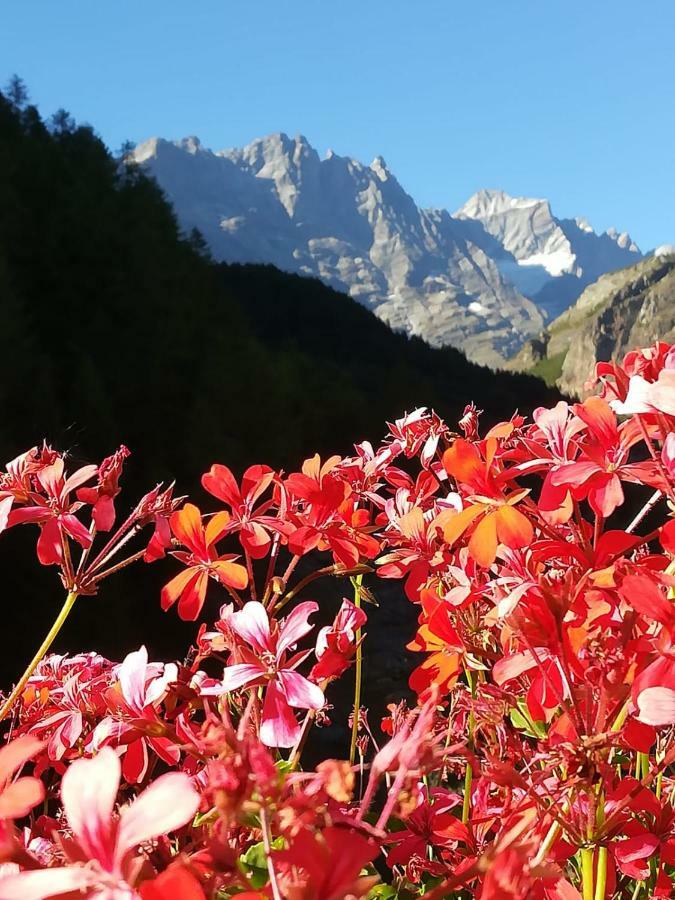 Petit Maison - Valtournenche Exteriör bild